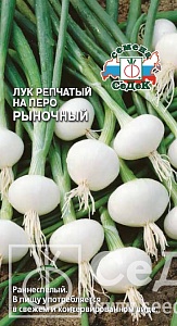 Лук на перо Рыночный 1г ц/п (Седек) ранний,слабоострый