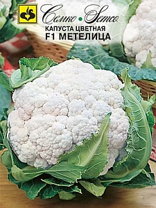 Капуста цветная Метелица F1 10шт (Семко) с/ранняя
