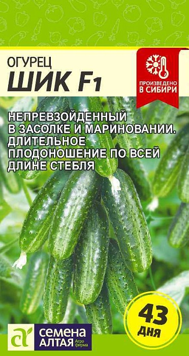 картинка Огурец Шик F1 5шт ц/п (СемАлт) магазин Одежда+ являющийся официальным дистрибьютором в России 
