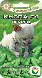 Огурец Кнопа F1 7шт (СибСад) 