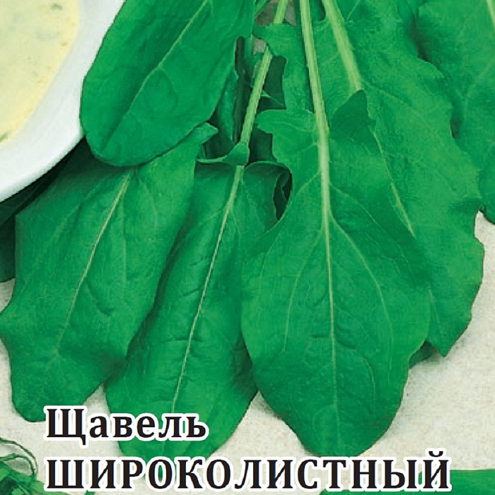 картинка Щавель Широколистный 50г (Гавриш) магазин Одежда+ являющийся официальным дистрибьютором в России 