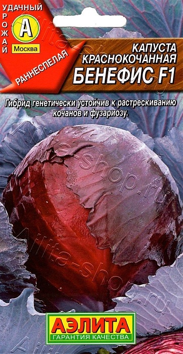 картинка Капуста краснокочанная Бенефис F1 0,1г ц/п (Аэлита) ранняя,масса до 1,7кг магазин Одежда+ являющийся официальным дистрибьютором в России 