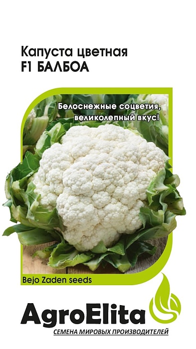 картинка Капуста цветная Балбоа F1 10шт ц/п (Агроэлита)  магазин Одежда+ являющийся официальным дистрибьютором в России 