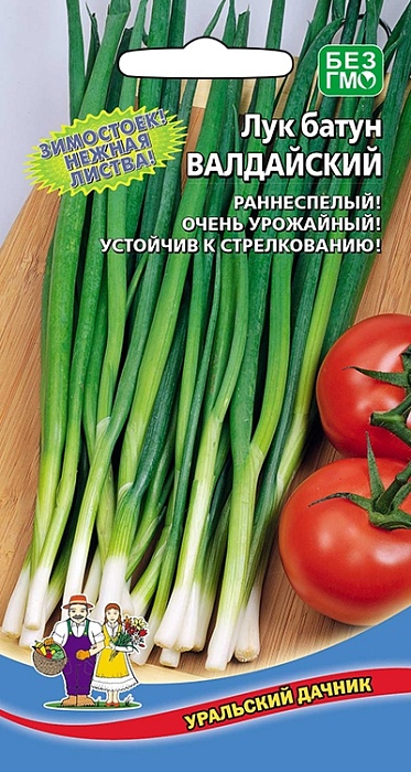 картинка Лук батун Валдайский ц/п (УД) Новинка! магазин Одежда+ являющийся официальным дистрибьютором в России 