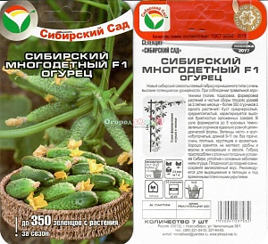 Огурец Сибирский многодетный F1 7шт (СибСад) 