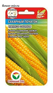 Кукуруза Сахарный початок 6шт (СибСад) 