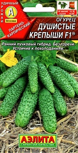 Огурец Душистые крепыши F1 10шт ц/п (Аэлита) 