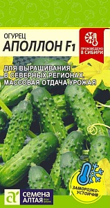 Огурец Аполлон F1 6шт ц/п (СемАлт)