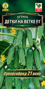 Огурец Детки на ветке F1 10шт ц/п (Аэлита) ранний,пчелоопыл.