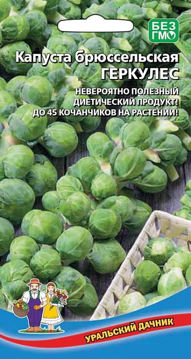 картинка Капуста брюссельская Геркулес 0,25г ц/п (УД) поздняя магазин Одежда+ являющийся официальным дистрибьютором в России 