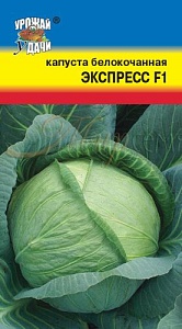 Капуста Экспресс F1 0,2г ц/п (УУ)