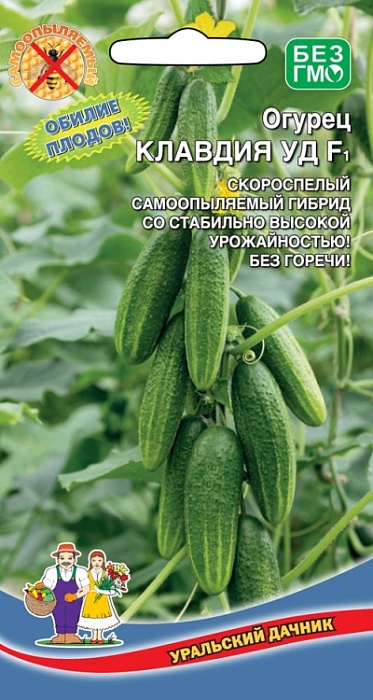 картинка Огурец Клавдия УД F1 10шт ц/п (УД) с/спелый,мелкобугорчатый магазин Одежда+ являющийся официальным дистрибьютором в России 