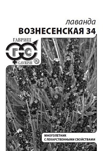 Лаванда Вознесенская 34 0,05г ц/п (Гавриш)