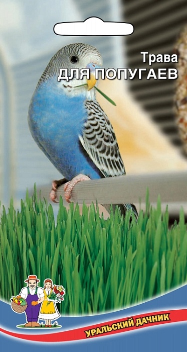 картинка Трава для попугаев ц/п (УД) магазин Одежда+ являющийся официальным дистрибьютором в России 