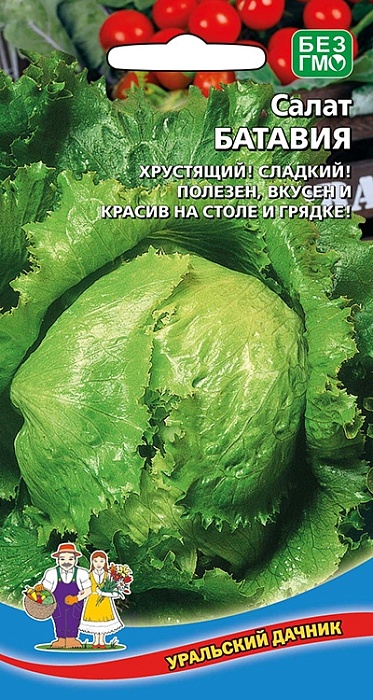 картинка Салат Батавия 0,25г ц/п (УД) кочанный магазин Одежда+ являющийся официальным дистрибьютором в России 