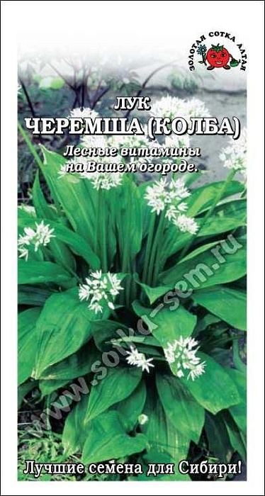 картинка Лук Черемша (колба) 0,2г ц/п (З/Сотка) магазин Одежда+ являющийся официальным дистрибьютором в России 