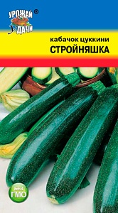 Кабачок Стройняшка 1г ц/п (УУ)