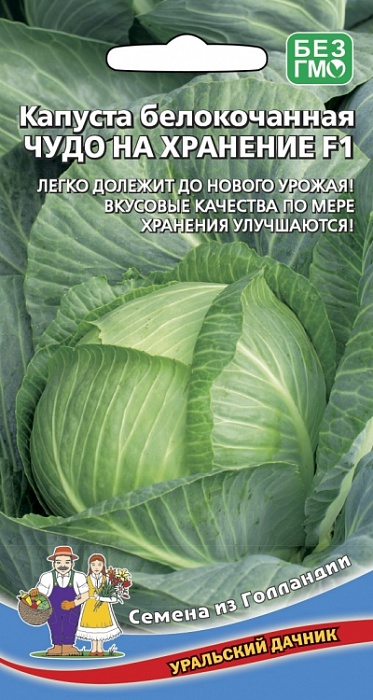 картинка Капуста Чудо на хранение F1 0,3г ц/п (УД) п/спелая, 3-3,5кг магазин Одежда+ являющийся официальным дистрибьютором в России 