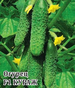 Огурец Кураж F1 100шт (Гавриш)