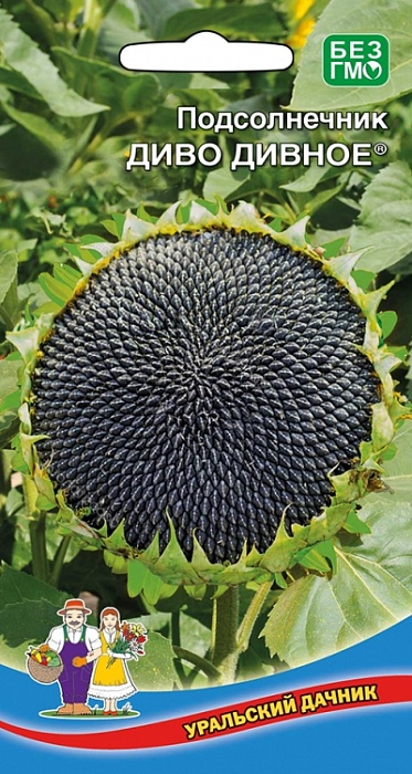 картинка Подсолнечник Диво Дивное 5г ц/п (УД) Новинка! магазин Одежда+ являющийся официальным дистрибьютором в России 