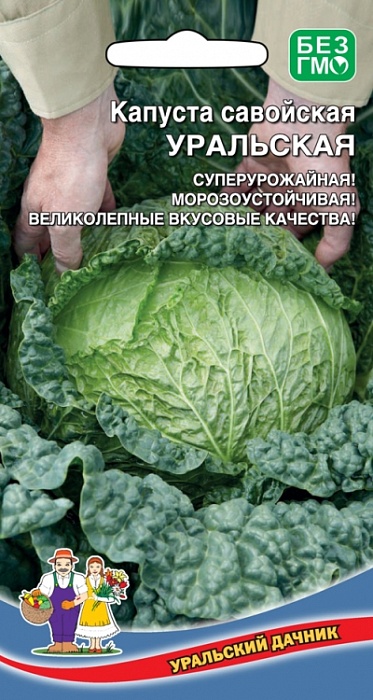 картинка Капуста савойская Уральская 0,25г ц/п (УД) поздняя, до 2кг. магазин Одежда+ являющийся официальным дистрибьютором в России 