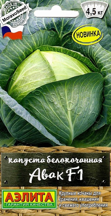 картинка Капуста Авак F1 0,1г ц/п (Аэлита)  магазин Одежда+ являющийся официальным дистрибьютором в России 