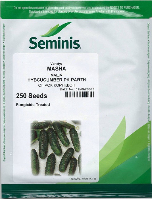 картинка Огурец Маша F1 250шт (Seminis) магазин Одежда+ являющийся официальным дистрибьютором в России 