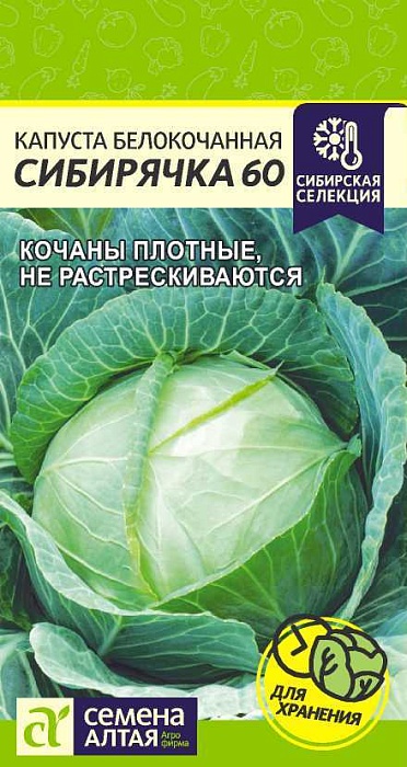 картинка Капуста Сибирячка 60 0,5г ц/п (СемАлт) Сиб.селекция магазин Одежда+ являющийся официальным дистрибьютором в России 