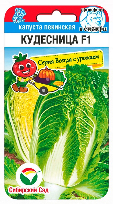 картинка Капуста пекинская Кудесница F1 0,2г (СибСад)  магазин Одежда+ являющийся официальным дистрибьютором в России 