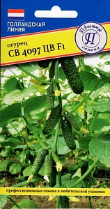 Огурец СВ 4097 ЦВ F1 5шт (Престиж)  