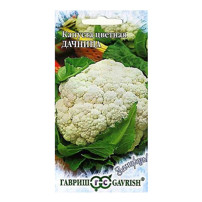 картинка Капуста цветная Дачница 0,2г ц/п (Гавриш) Заморозь! магазин Одежда+ являющийся официальным дистрибьютором в России 