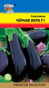 Баклажан Черная икра F1 0,1г ц/п (УУ) ранний до 300г