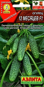 Огурец 12 месяцев F1 10шт ц/п (Аэлита) ранний, партенокар
