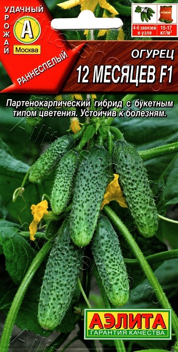 картинка Огурец 12 месяцев F1 10шт ц/п (Аэлита) ранний, партенокар магазин Одежда+ являющийся официальным дистрибьютором в России 