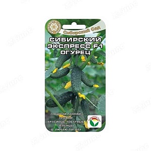 Огурец Сибирский экспресс F1 7шт (СибСад)