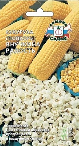 Кукуруза Внучкина радость (попкорн) 5г ц/п (Седек)
