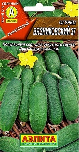 Огурец Вязниковский 37 20шт ц/п (Аэлита)