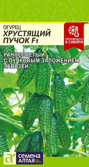 картинка Огурец Хрустящий пучок F1 5шт ц/п (СемАлт) магазин Одежда+ являющийся официальным дистрибьютором в России 