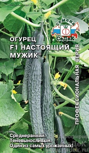 Огурец Настоящий мужик F1 0,2г ц/п (Седек) 35см,салатный, для осеннего и зимнего оборота