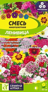 Смесь Ленивица многолетняя низкая 0,3г ц/п (СемАлт) 