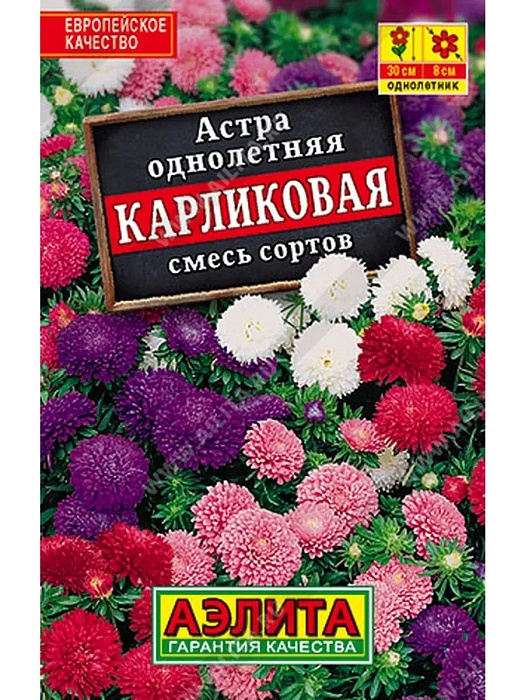 картинка Астра Карликовая, смесь сортов 0,2г лид/п (Аэлита)  магазин Одежда+ являющийся официальным дистрибьютором в России 