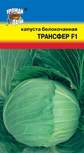 Капуста Трансфер F1 0,2г ц/п (УУ) 