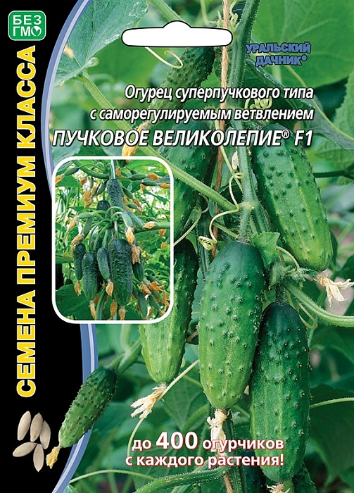 картинка Огурец Пучковое великолепие F1 5шт ц/п б/ф (УД) с/спелый,корнишон магазин Одежда+ являющийся официальным дистрибьютором в России 