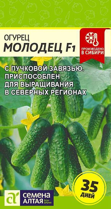 картинка Огурец Молодец 6шт ц/п (СемАлт) магазин Одежда+ являющийся официальным дистрибьютором в России 