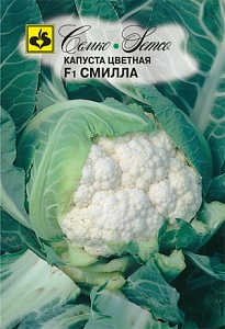 Капуста цветная Смилла (Морозко) F1 10шт (Семко) с/спелая