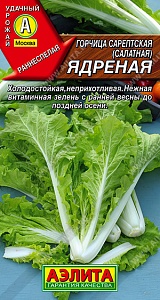 Горчица Ядреная 0,5г ц/п (Аэлита)