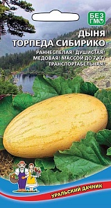 Дыня Торпеда Сибирико 10шт ц/п (УД) раннеспелая 5-7кг