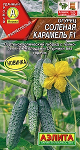 Огурец Соленая карамель F1 10шт ц/п (Аэлита) 