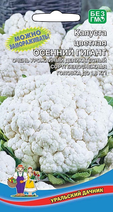 картинка Капуста цветная Осенний гигант 0,25г ц/п (УД) ср/ранняя, 0,9-1,8кг магазин Одежда+ являющийся официальным дистрибьютором в России 