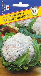 Капуста цветная Кандит Шарм F1 10шт (Престиж) ср/ранний гибрид, до 2,5-3,0 кг